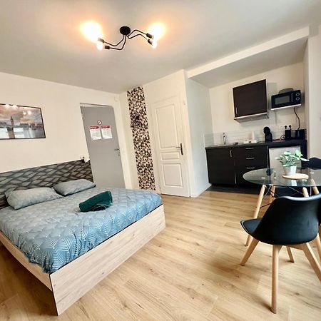 Studios Ideal Pro I Centre-Ville & Parking Gratuit Шательро Екстер'єр фото