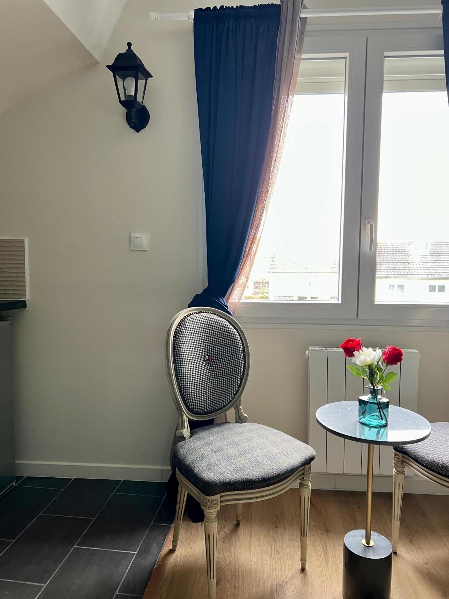 Studios Ideal Pro I Centre-Ville & Parking Gratuit Шательро Екстер'єр фото