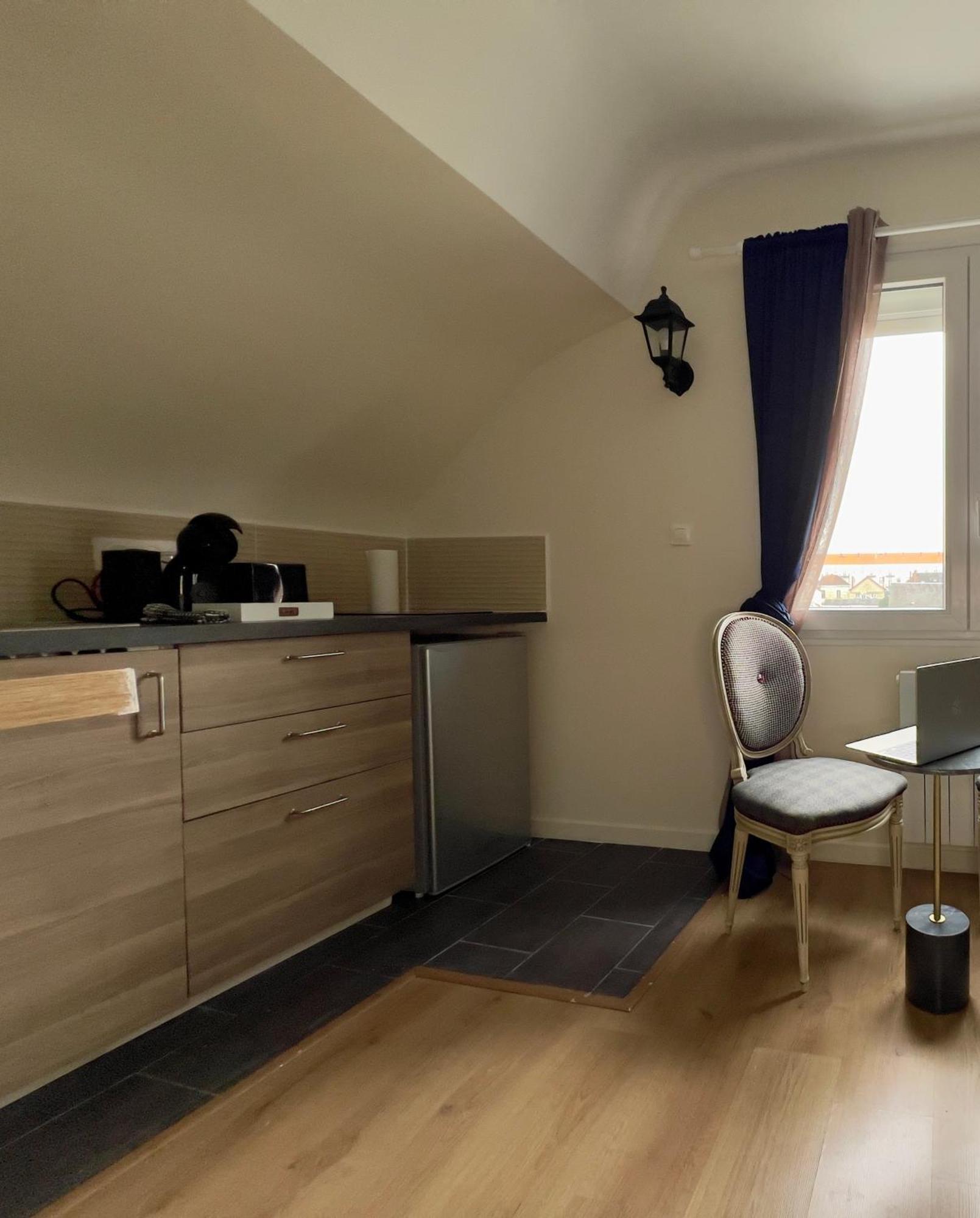 Studios Ideal Pro I Centre-Ville & Parking Gratuit Шательро Екстер'єр фото
