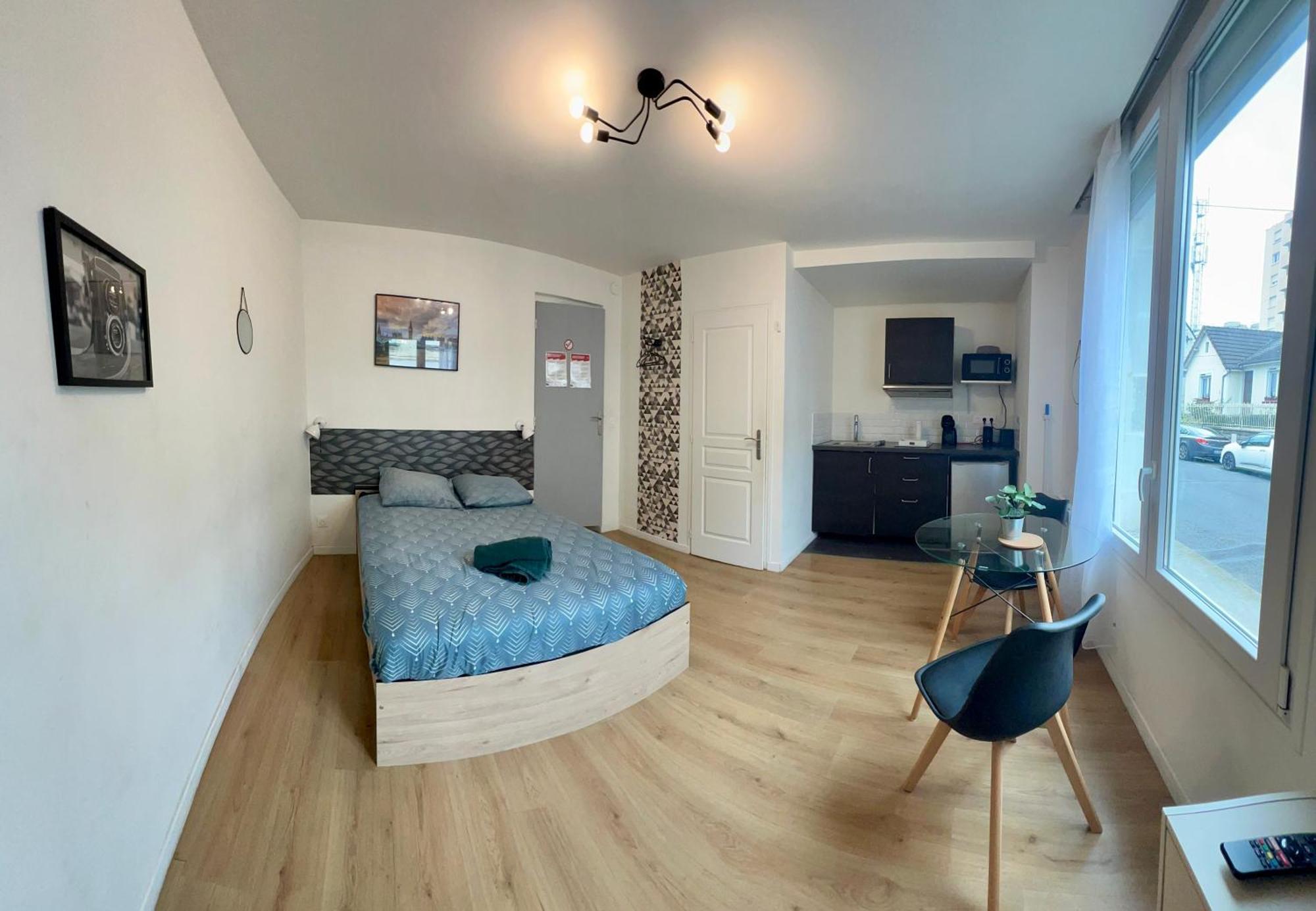 Studios Ideal Pro I Centre-Ville & Parking Gratuit Шательро Екстер'єр фото