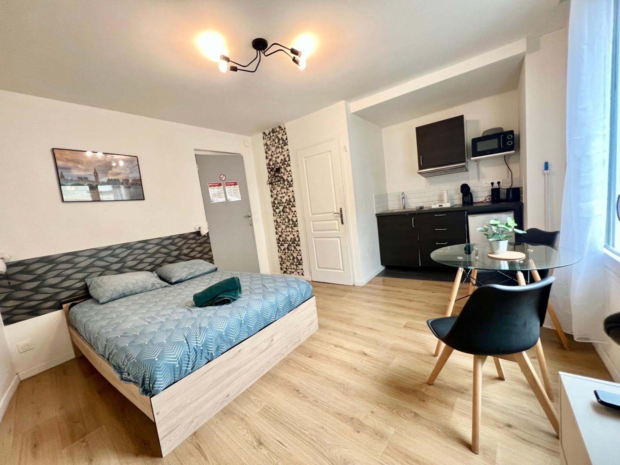 Studios Ideal Pro I Centre-Ville & Parking Gratuit Шательро Екстер'єр фото
