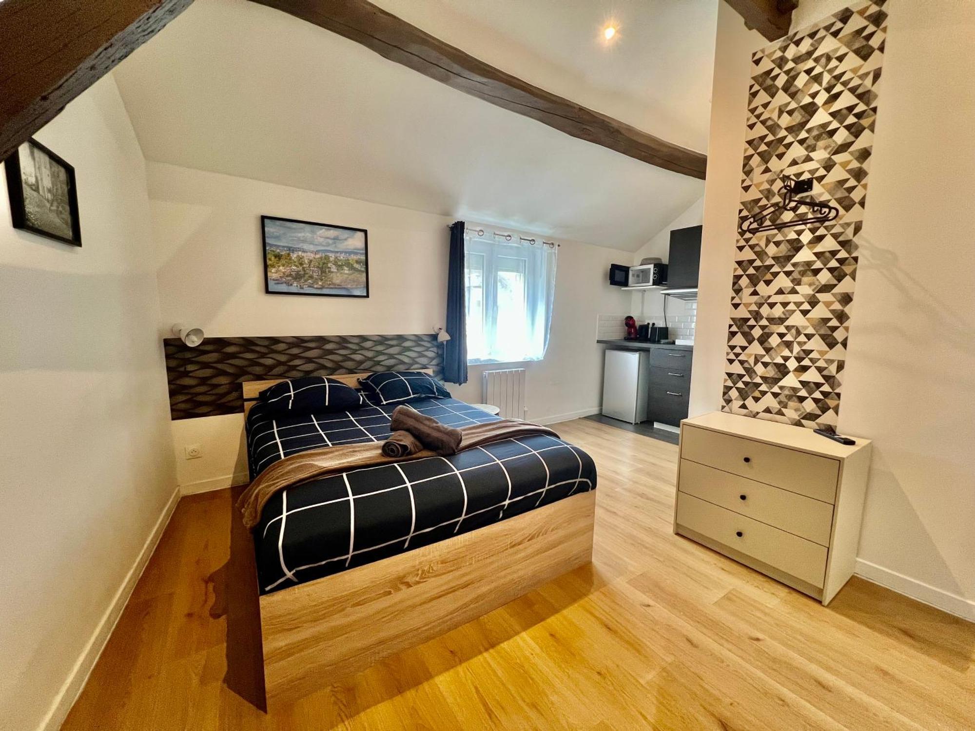 Studios Ideal Pro I Centre-Ville & Parking Gratuit Шательро Екстер'єр фото