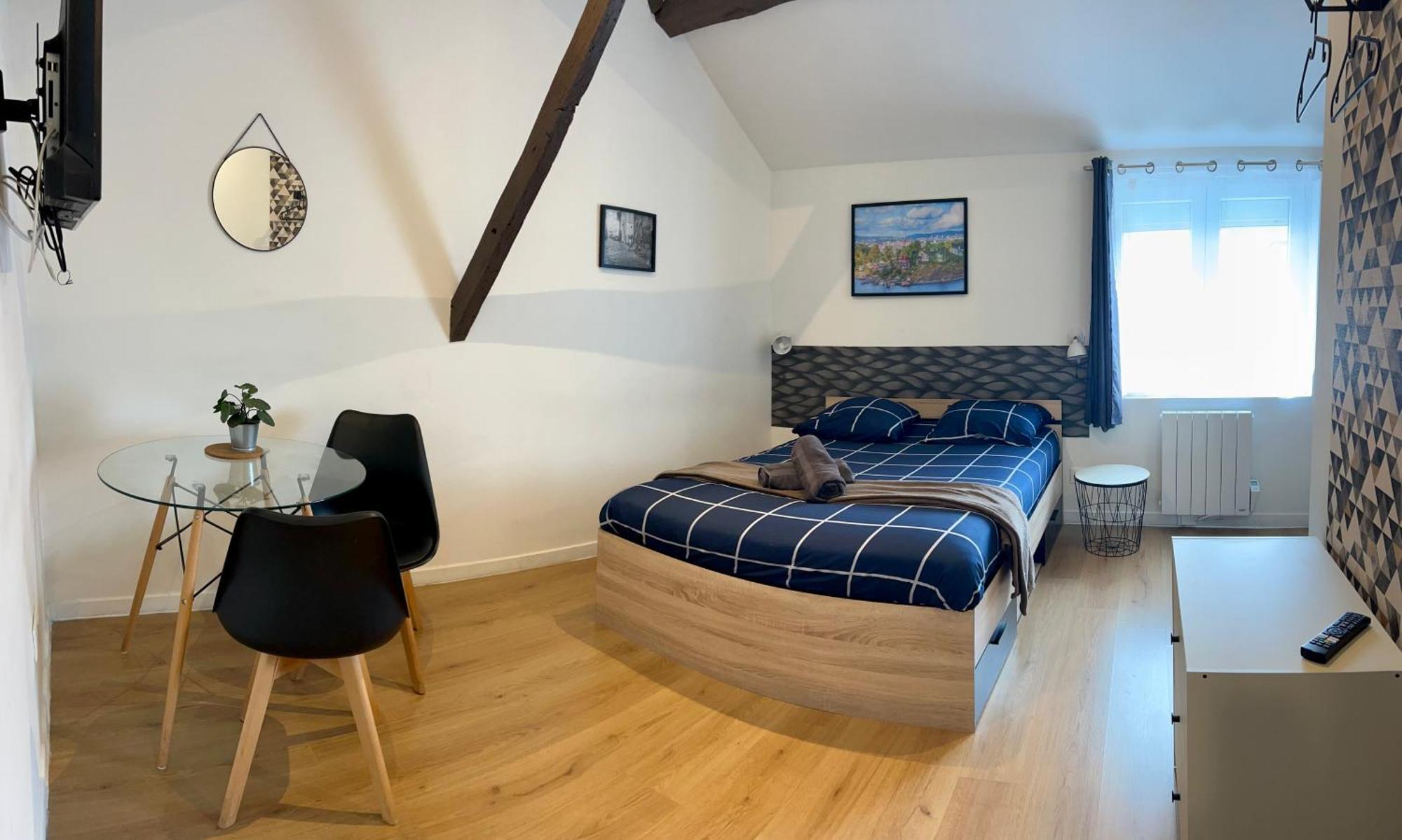 Studios Ideal Pro I Centre-Ville & Parking Gratuit Шательро Екстер'єр фото