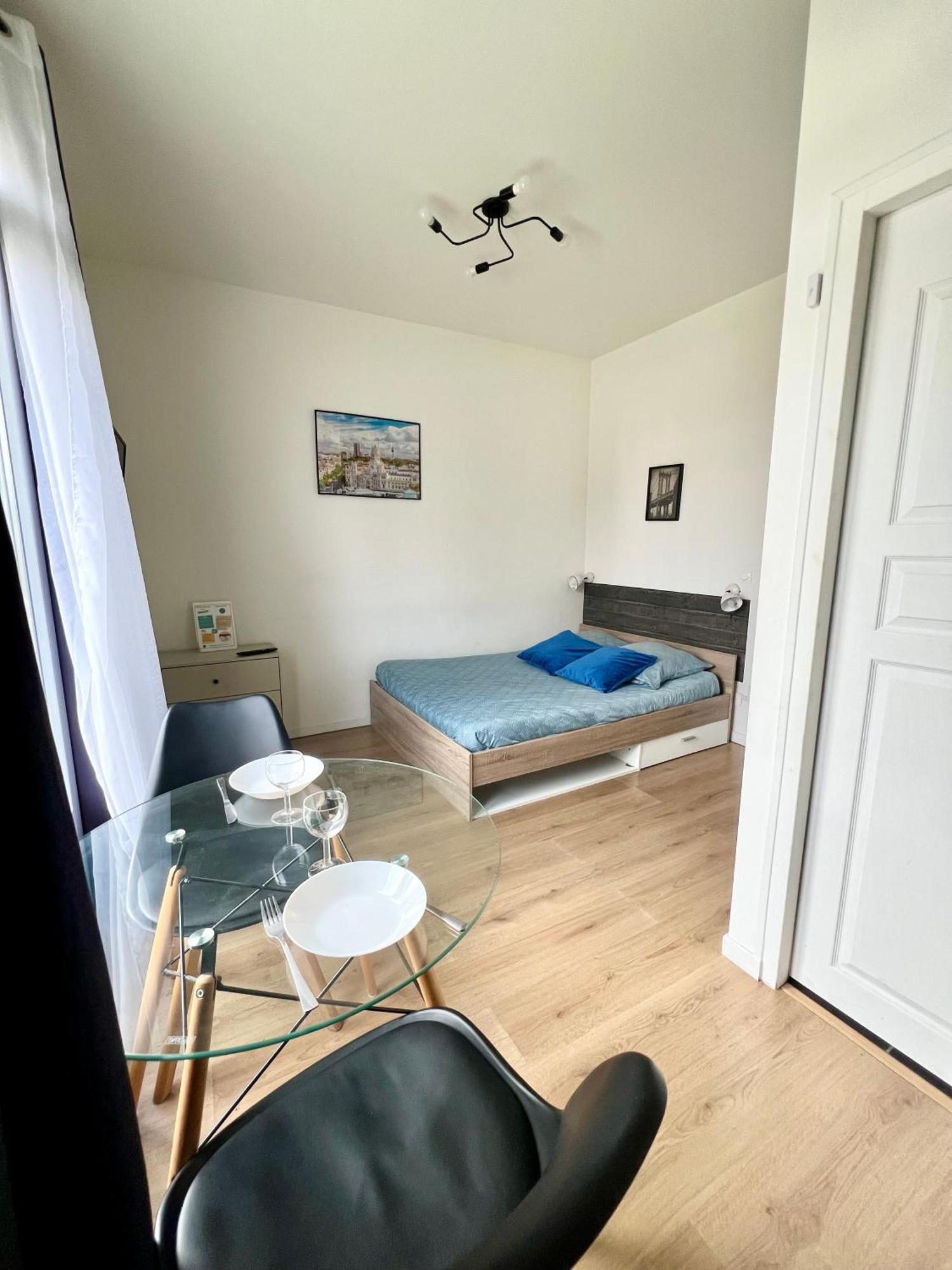 Studios Ideal Pro I Centre-Ville & Parking Gratuit Шательро Екстер'єр фото