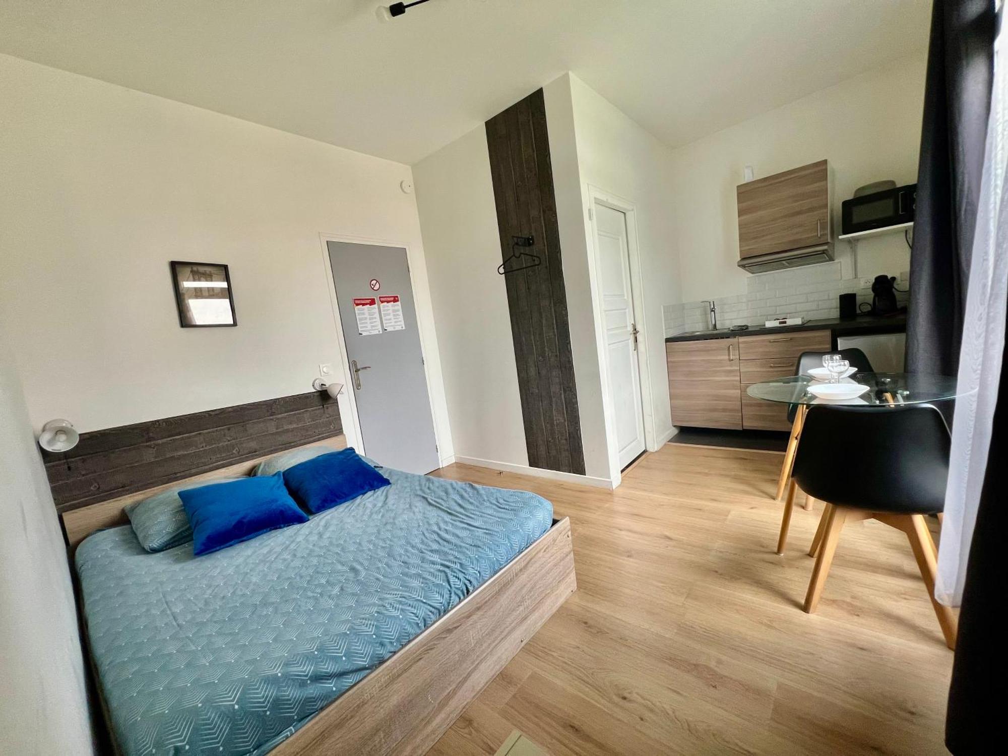 Studios Ideal Pro I Centre-Ville & Parking Gratuit Шательро Екстер'єр фото