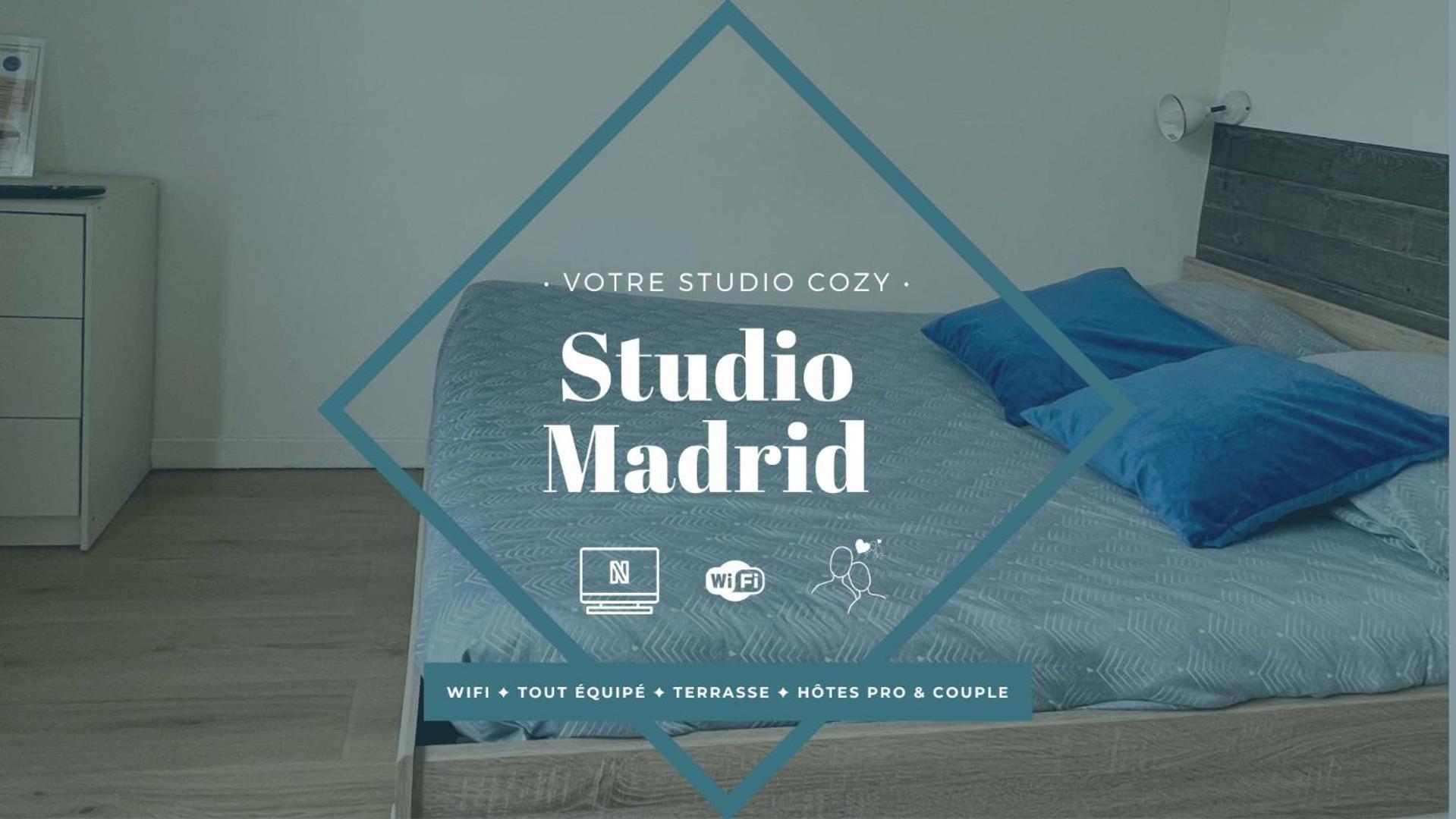 Studios Ideal Pro I Centre-Ville & Parking Gratuit Шательро Екстер'єр фото